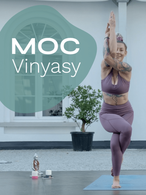 Siła i Mobilność – Moc Vinyasy